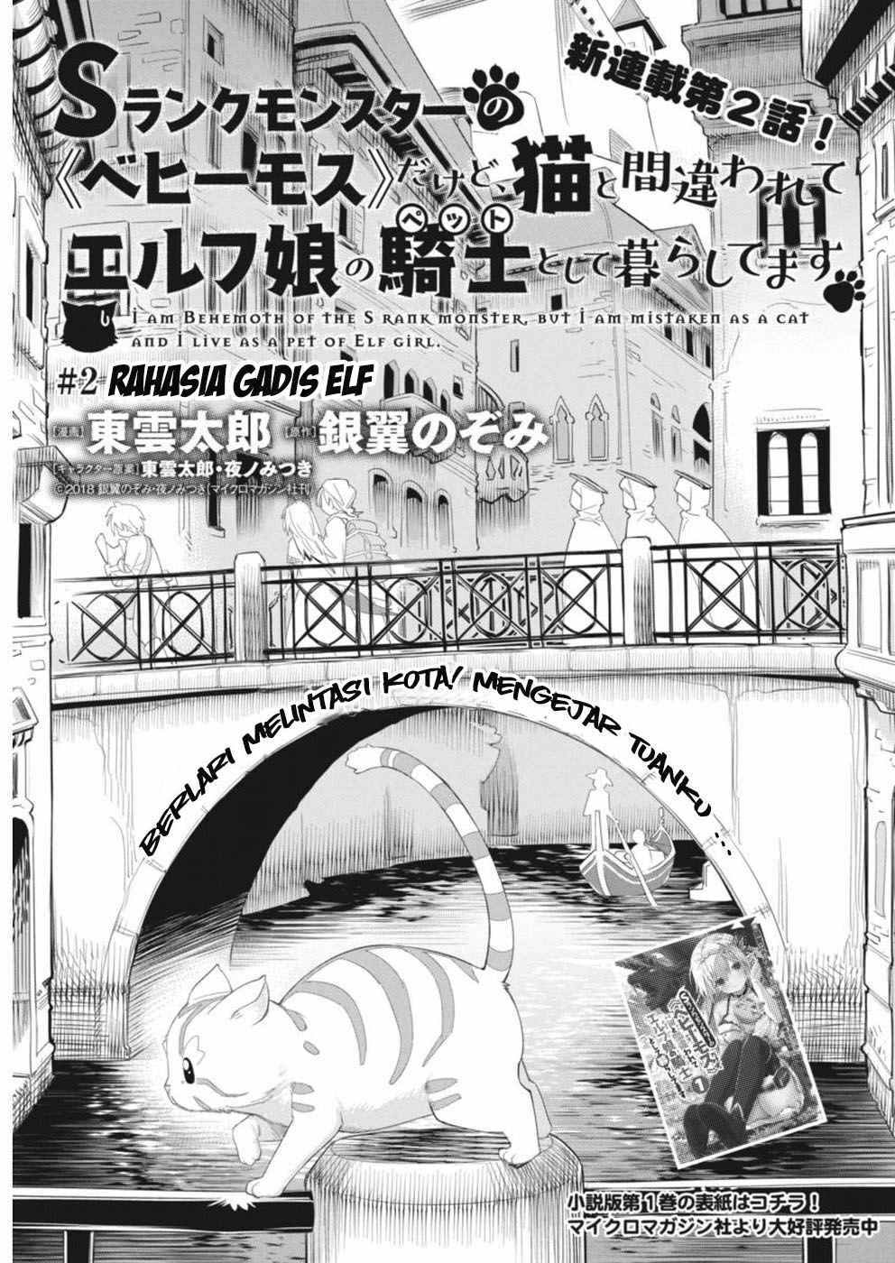 S-Rank Monster no Behemoth Dakedo, Neko to Machigawarete Erufu Musume no Kishi (Pet) Toshite Kurashitemasu Chapter 02 Gambar 2